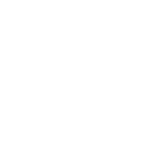 spring Colt Logo